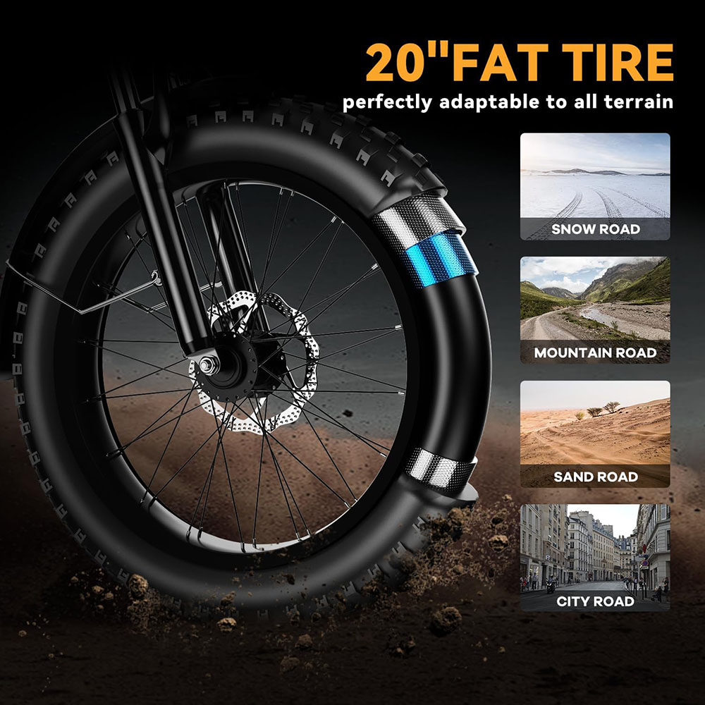 1000W, 48V 20AH Large Removable Battery E Bike