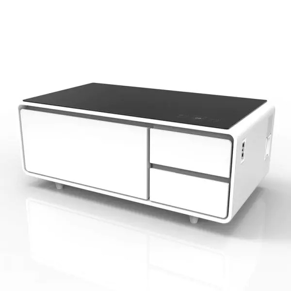 【Furniture】【BS】Smart Coffee Table with Storage