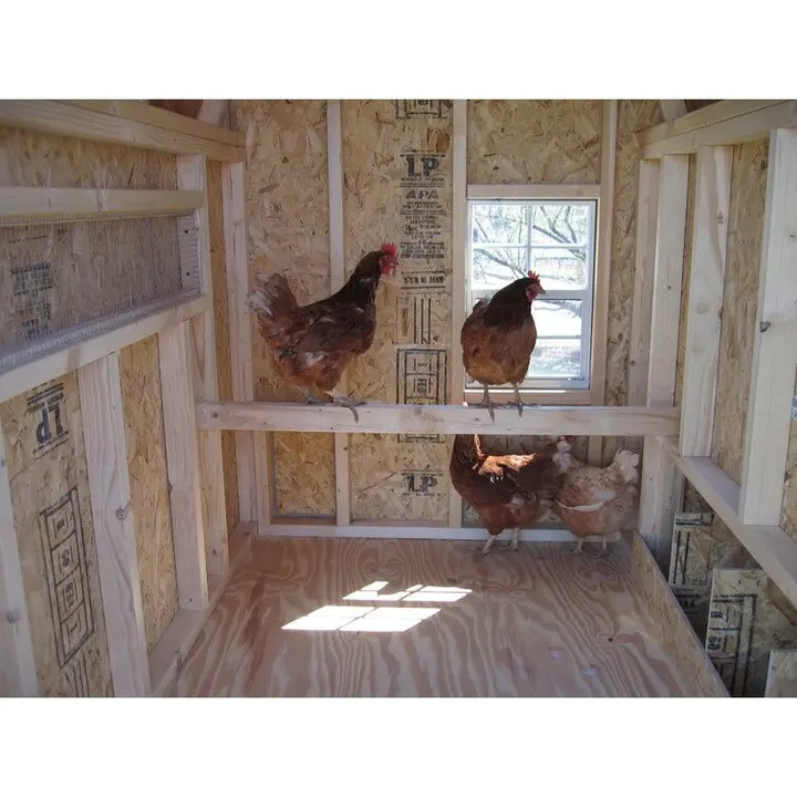 58.6 Square Feet Walk In Chicken Coop with Nesting Box