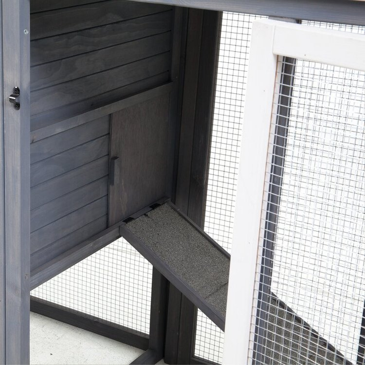 【Clearance Sale】Duchess Chicken Coop with Nesting Box