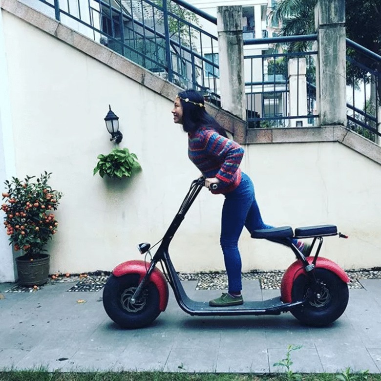 ADULT TRAM SCOOTER 60V 1000W