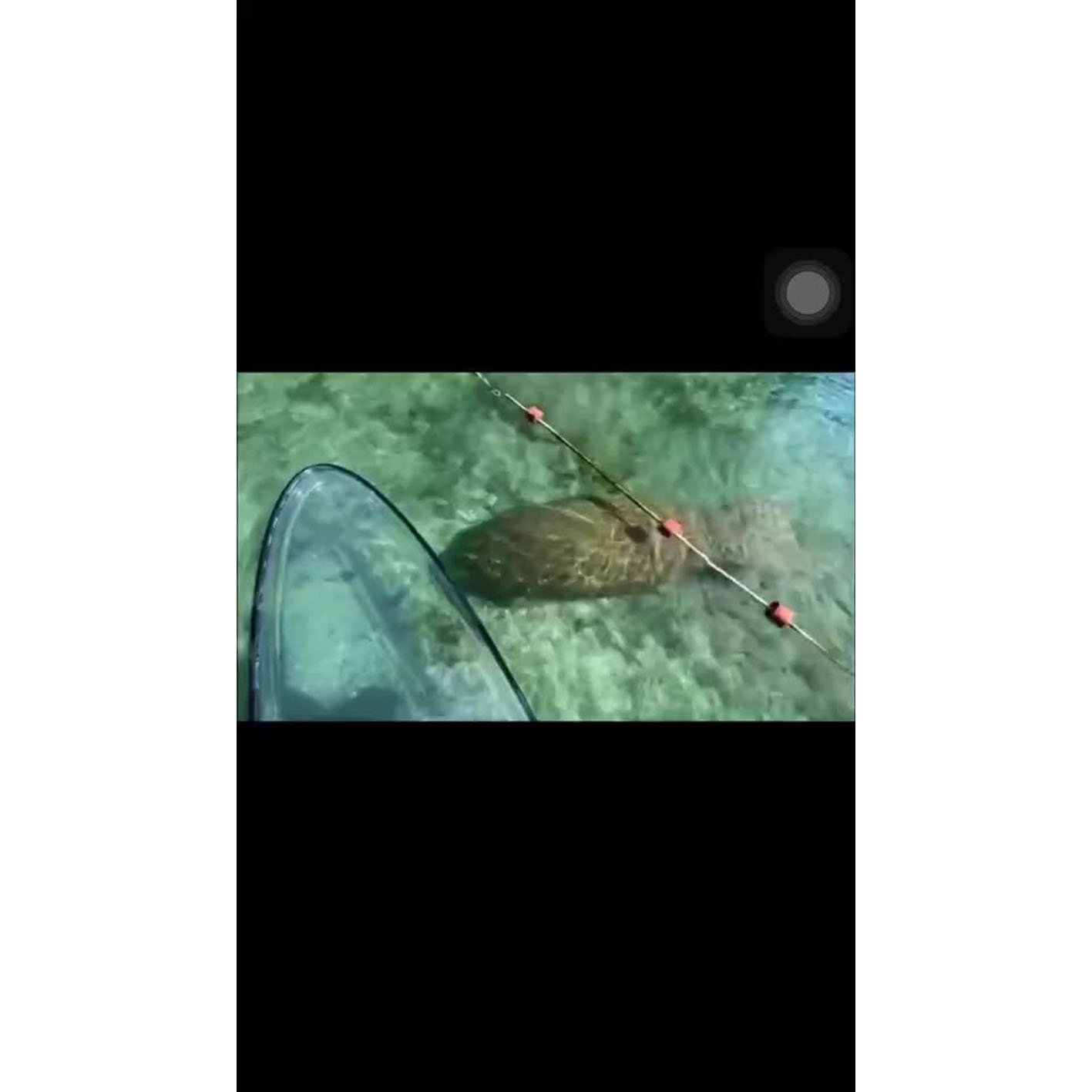 3m Crystal Transparent Clear Sup Paddle Board Stand up Surfboard